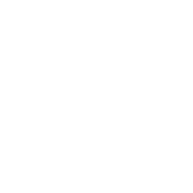 Custom
